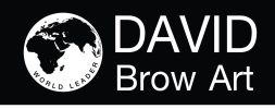 david-logo